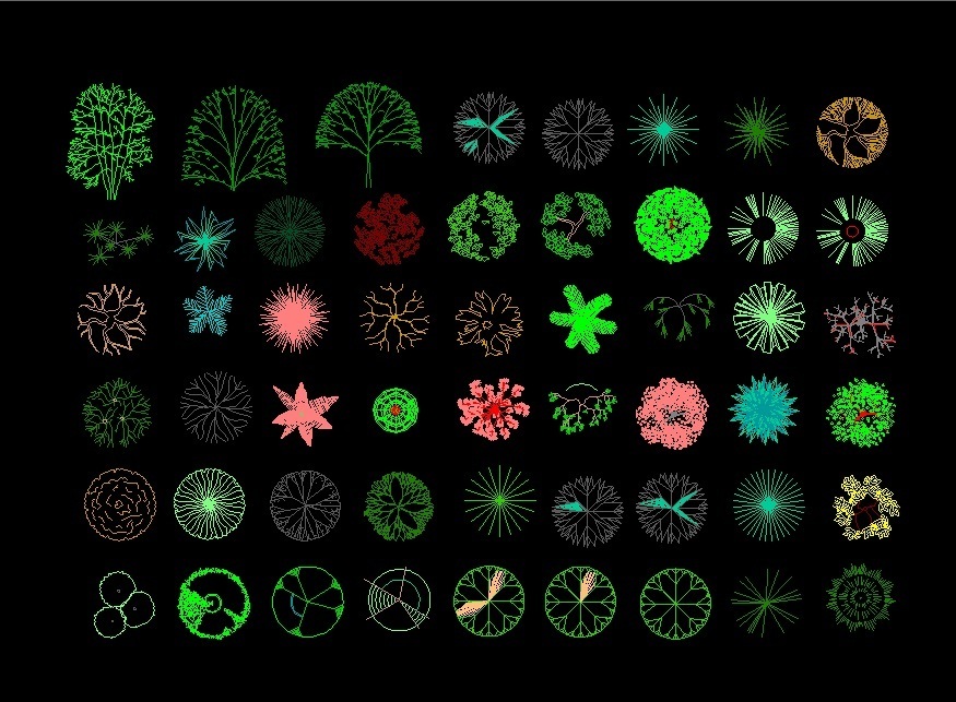 Trees Shrubs And Palm Trees Plants Elevation And Top View Plan 2d Dwg