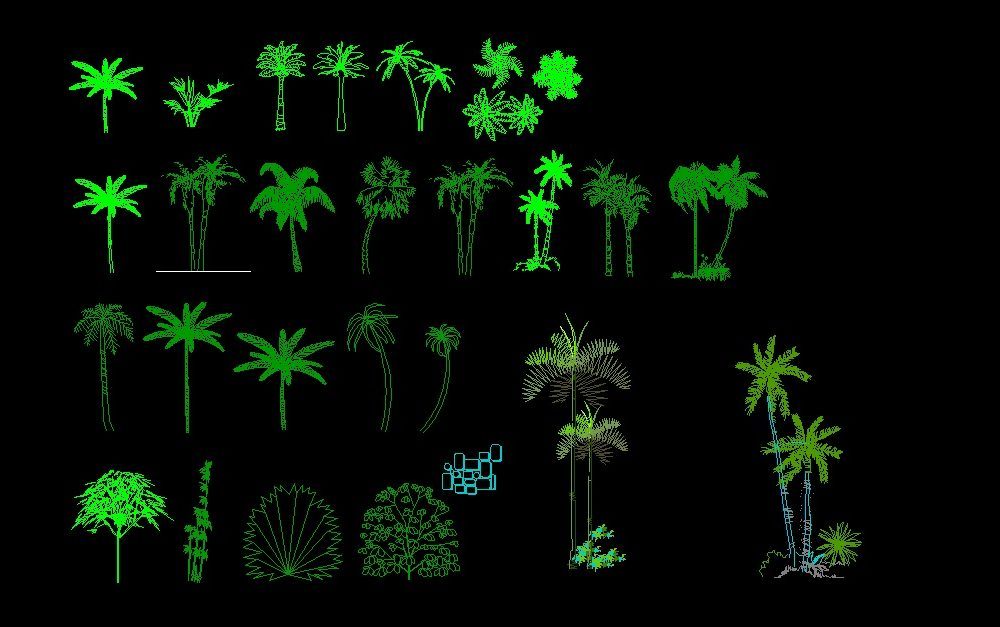 Palm Trees And Trees Front View Elevation 2D DWG Block For