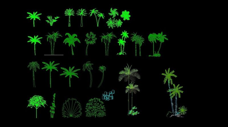 Palm Trees And Trees Front View Elevation 2D DWG Block For AutoCAD