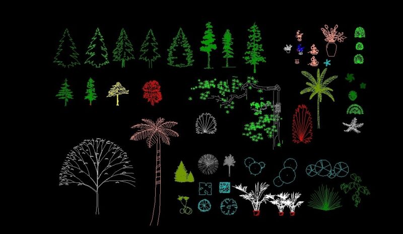 Trees Palm Trees Shrubs And Plants Pots Elevation And Top View 2D DWG Block For AutoCAD