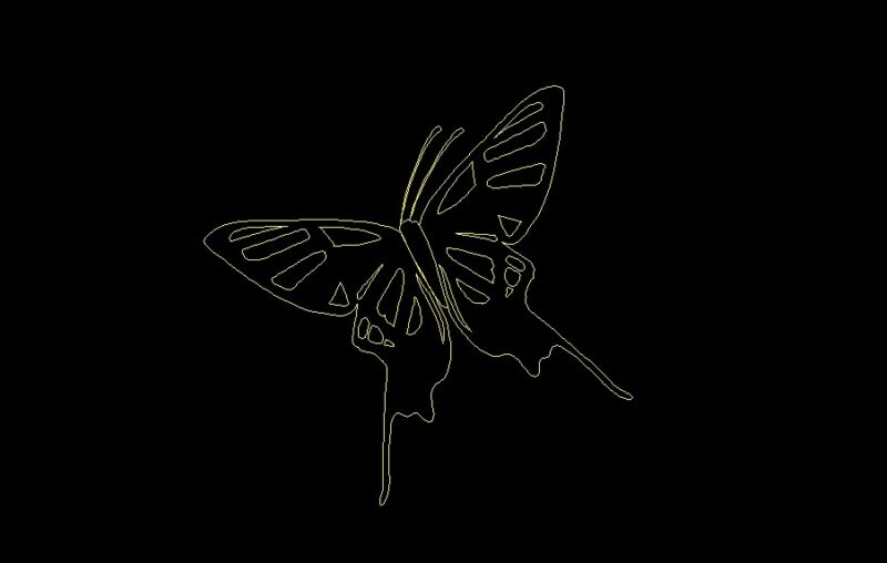 Flying Butterfly Insect Animal Top View Plan 2D DWG Block For AutoCAD