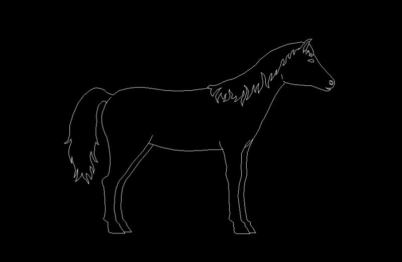 Horse Standing Animal Side View Elevation 2D DWG Block For AutoCAD