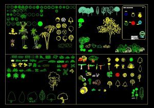 Trees Palm Trees Shrubs Front view Elevation And Top View Plan 2D DWG ...