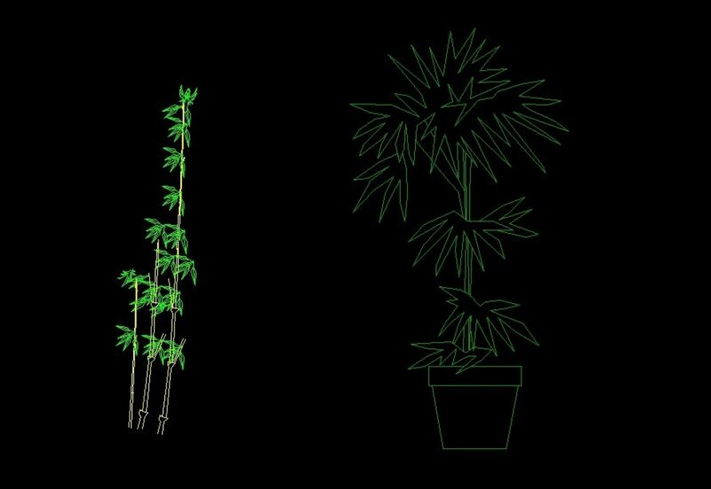 Bamboo Tree Parlor Palm Plant Front View Elevation 2D DWG Block For AutoCAD