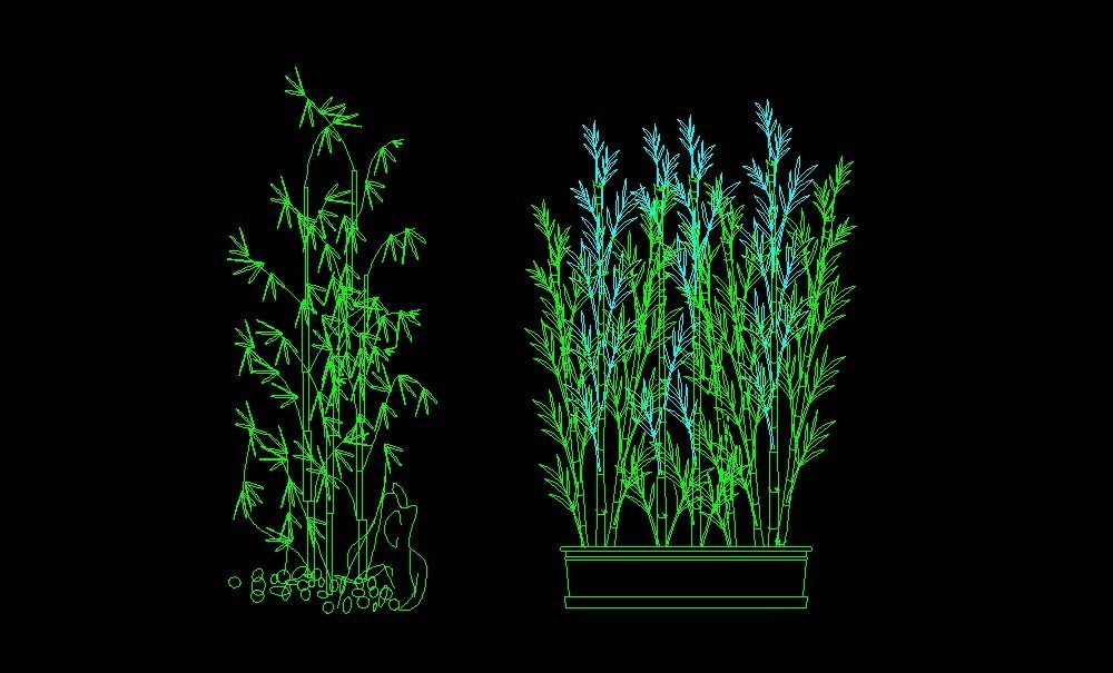 bamboo tree plant front view elevation 2d dwg block for