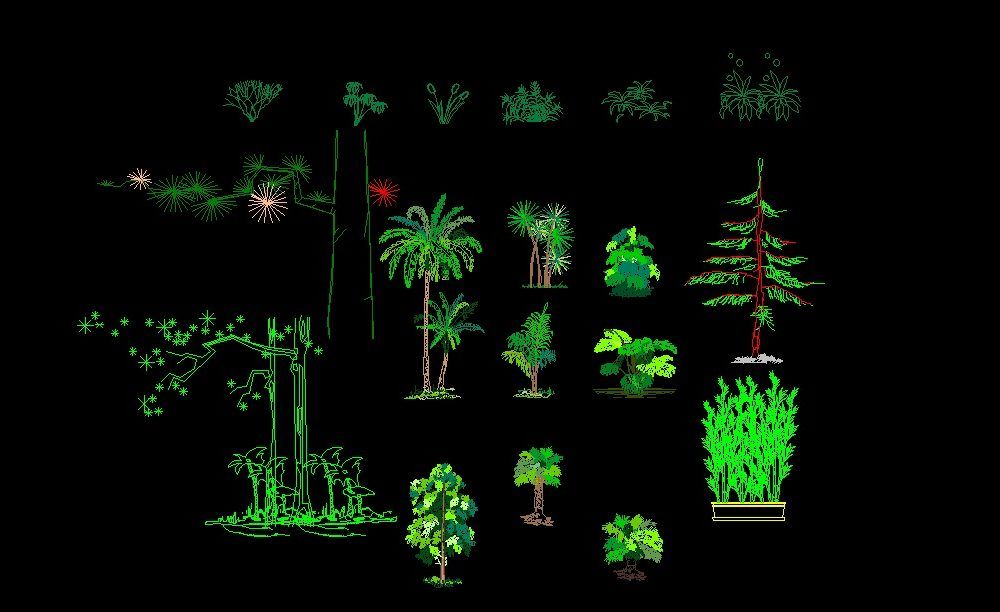 Trees Shrubs And Palm Trees Plants Front View Elevation 2D DWG Block