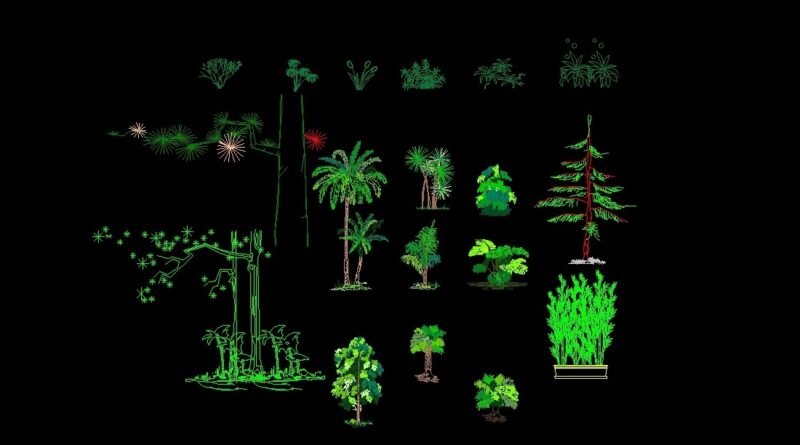 Trees Shrubs And Palm Trees Plants Front View Elevation 2D DWG Block For AutoCAD