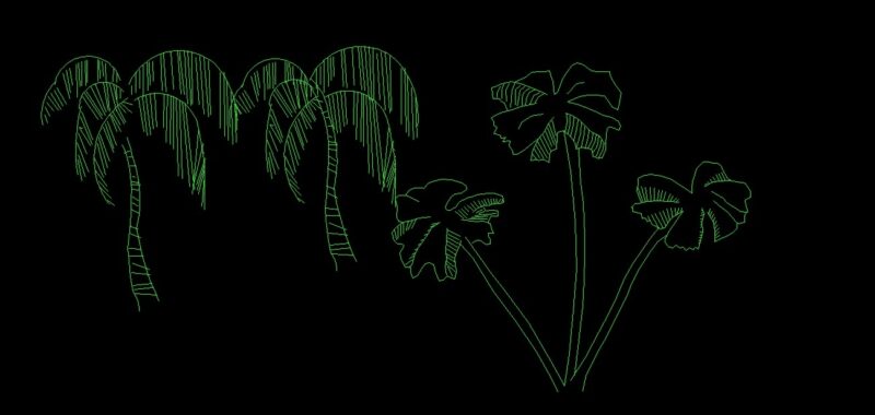 Coconut Palms Trees Plant Front View Elevation 2D DWG Block For AutoCAD