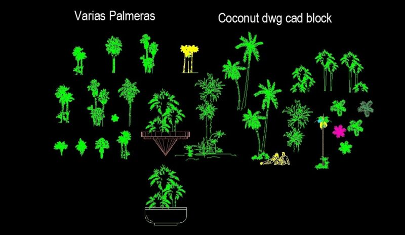 Various Palm Trees Cocnut And Bonsai Palms Front View Elevation 2D DWG Block For AutoCAD