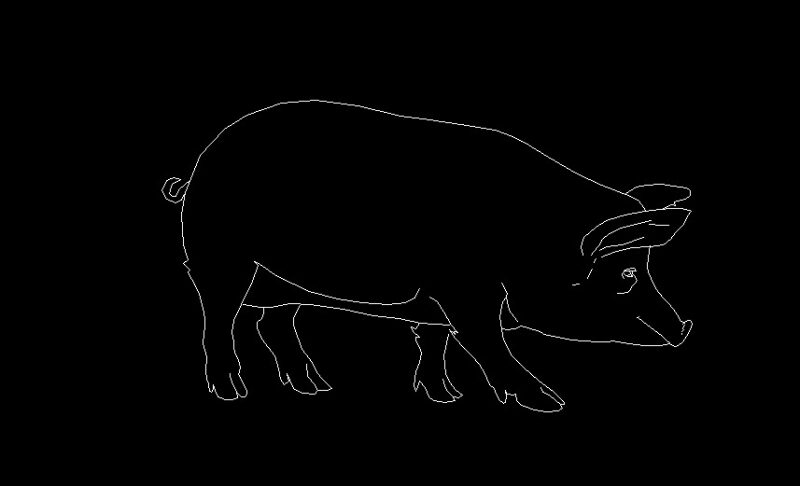 Pig Animal Standing Side View Elevation 2D DWG Block For AutoCAD