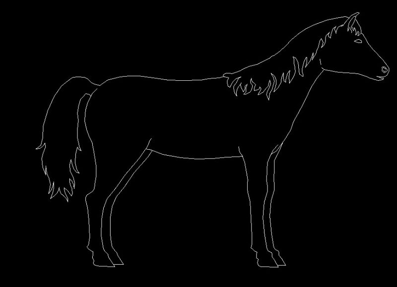 Horse Animal Standing Side View Elevation 2D DWG Block For AutoCAD