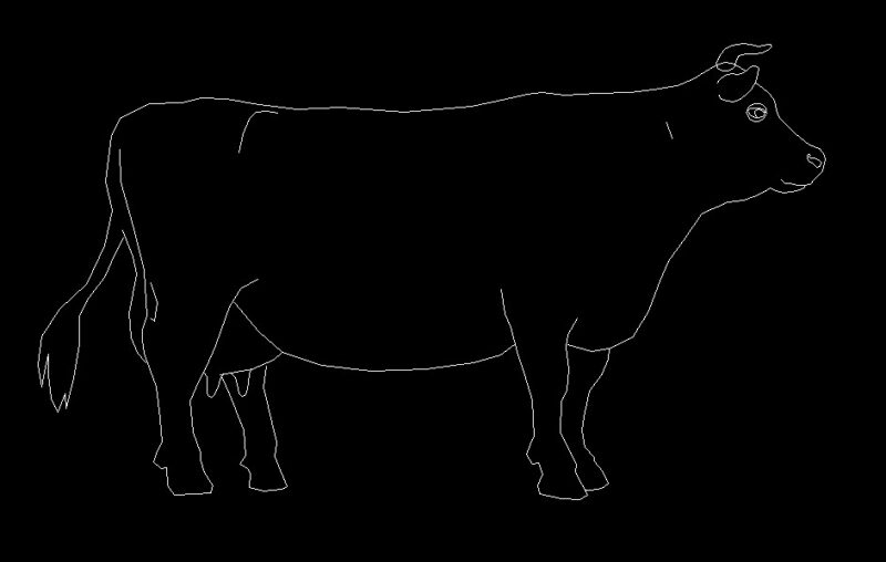 Cow Animal Standing Side View Elevation 2D DWG Block For AutoCAD