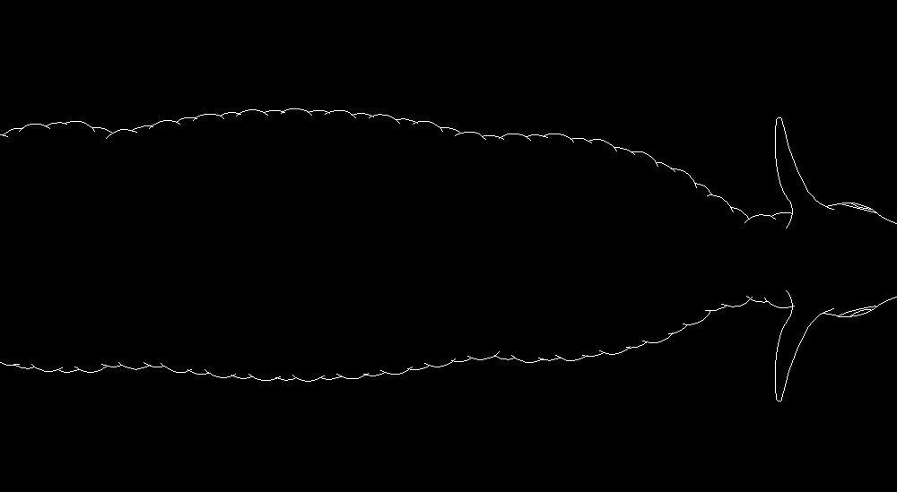 Sheep Animal Standing Top View Plan 2D DWG Block For 