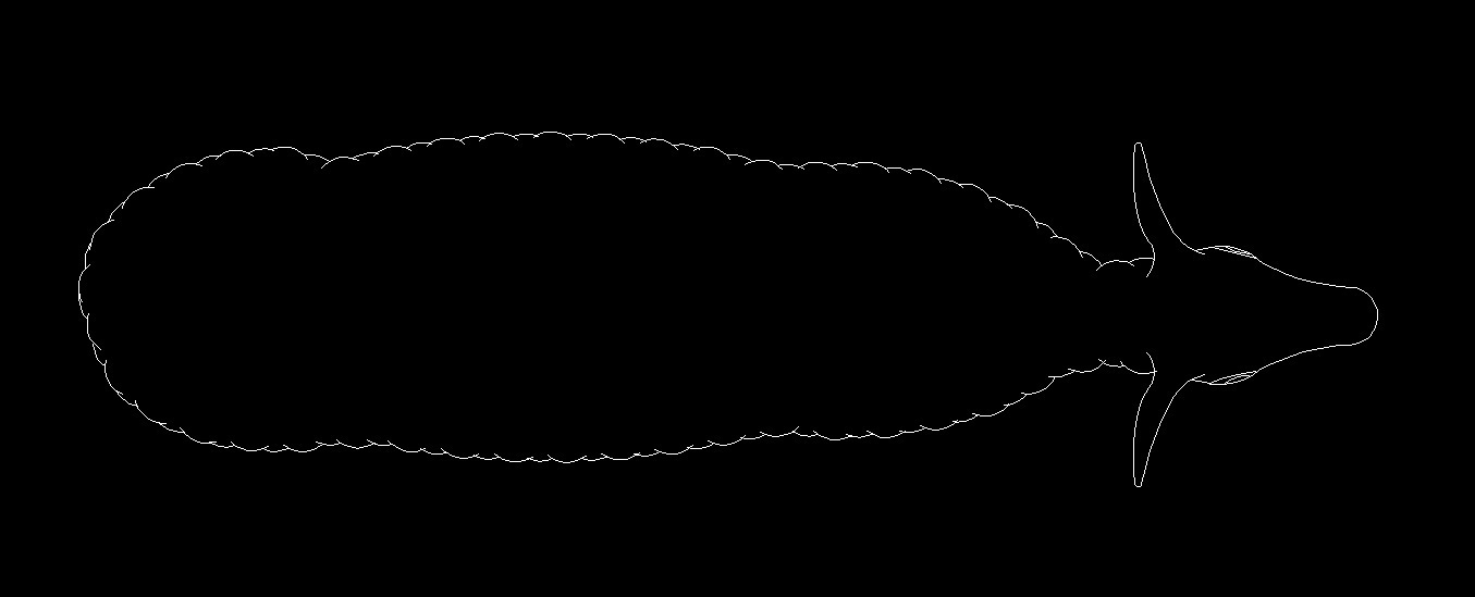 Sheep Animal Standing Top View Plan 2D DWG Block For 