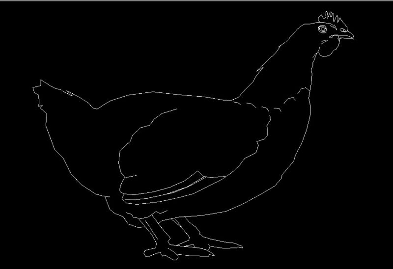 Chicken Bird Standing Side View Elevation 2D DWG Block For AutoCAD