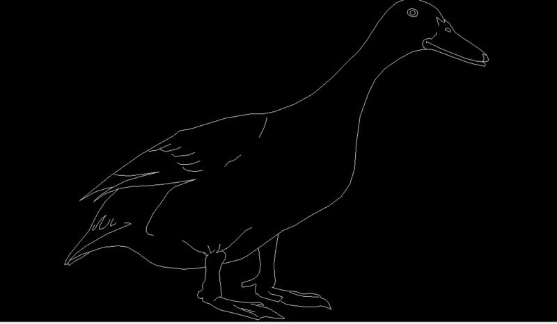 Duck Bird Standing Side View Elevation 2D DWG Block For AutoCAD