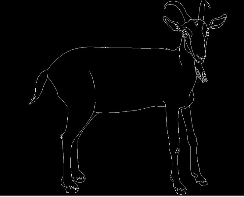 Goat Animal Standing Side View Elevation 2D DWG Block For AutoCAD