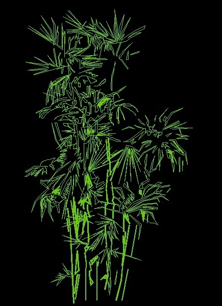 bamboo tree plant front view elevation 2d dwg block for