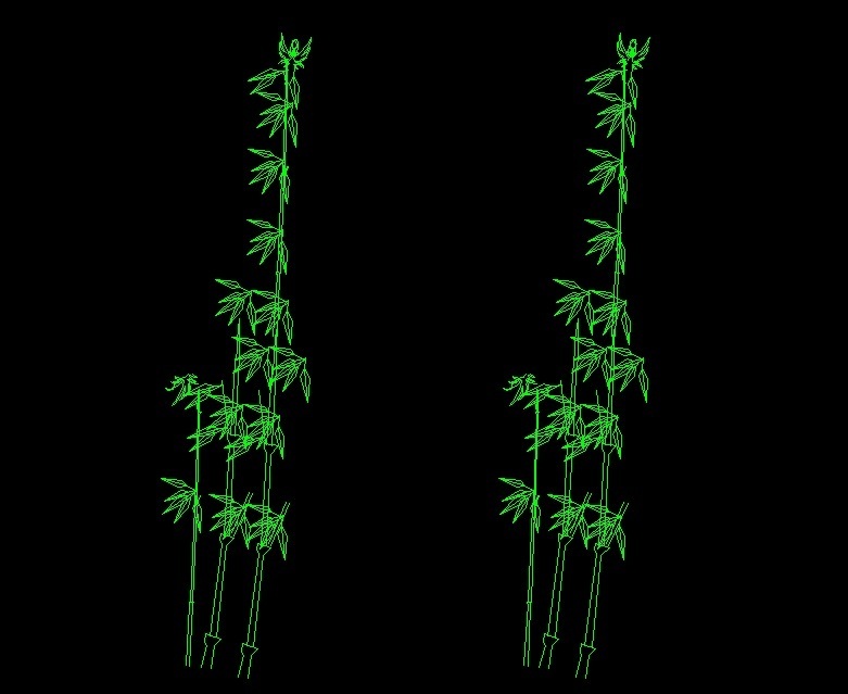 Bamboo Cane Tree Plant Front View Elevation 2D DWG Block For AutoCAD
