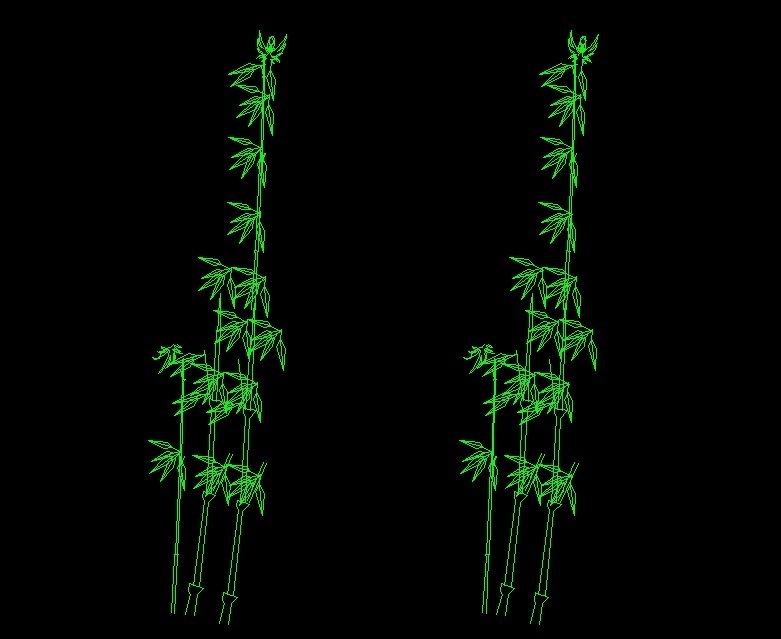 Bamboo Cane Tree Plant Front View Elevation 2D DWG Block