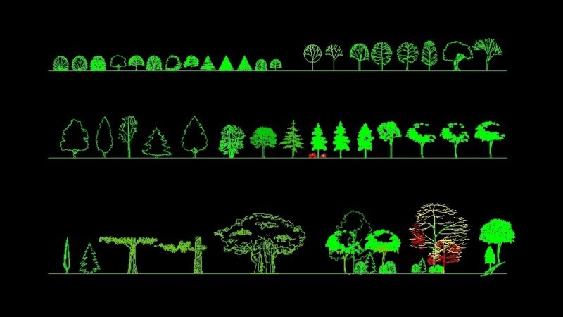 Various Types Of Trees Plants Front View Elevation 2D DWG Block For AutoCAD